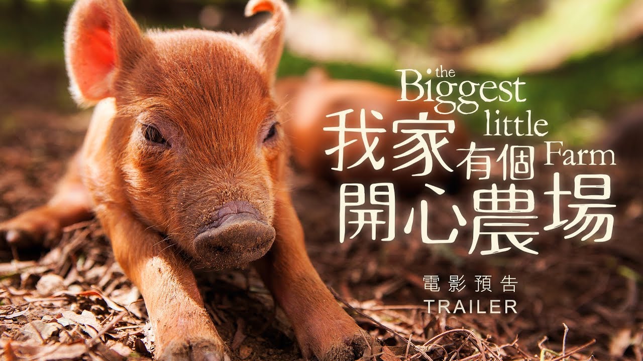 9.12《我家有個開心農場》國際中文版預告
