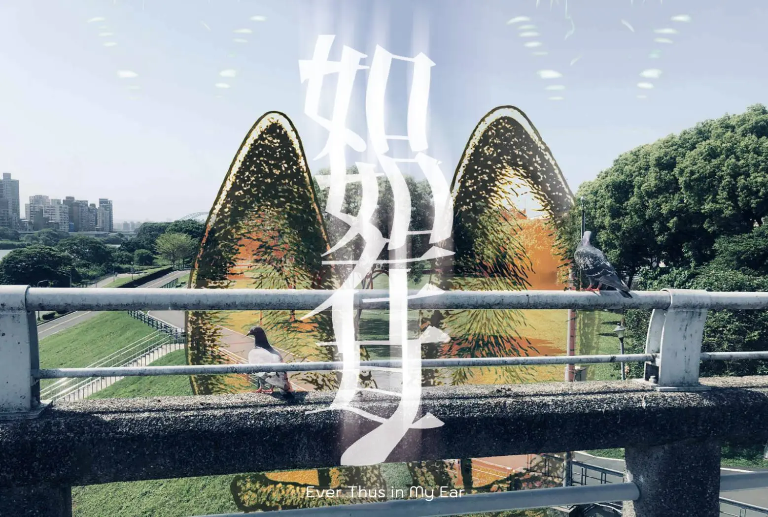 台新銀行文化藝術基金會×再拒劇團 《如如在耳》城市聆聽計畫首部曲