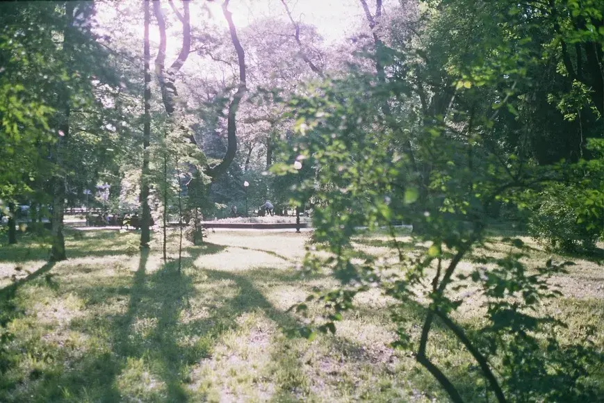 大安森林公園跑步