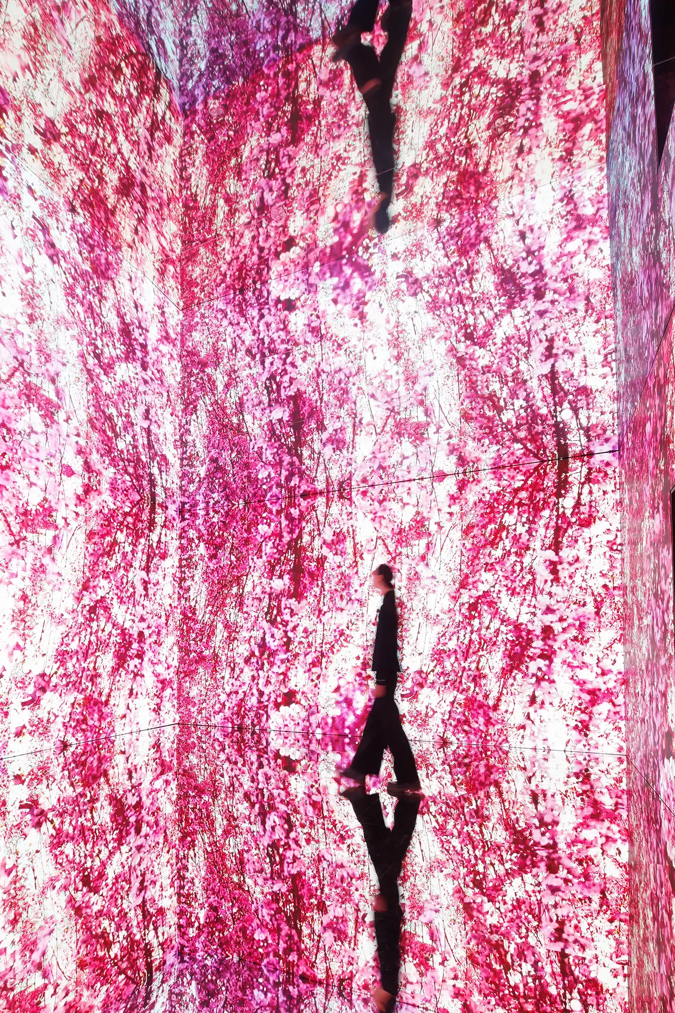 展區《深淵彼岸的夢》蜷川實花與科技藝術團隊eim聯手打造，以鏡面構築720度全景式影像，營造無限延伸的視覺幻境。（日本京都市京瓷美術館；圖／聯合數位文創提供）