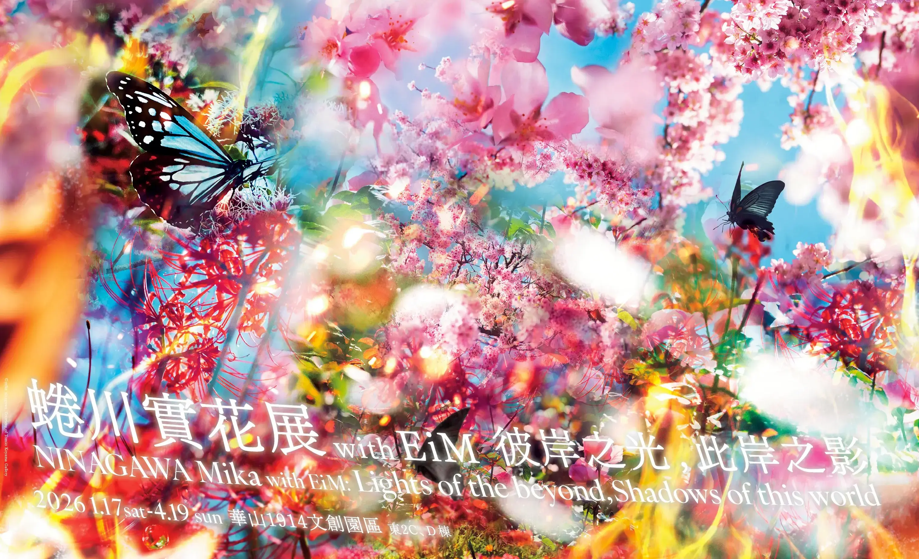 《蜷川實花展with Eim：彼岸之光，此岸之影》展覽主視覺。（圖／聯合數位文創提供）