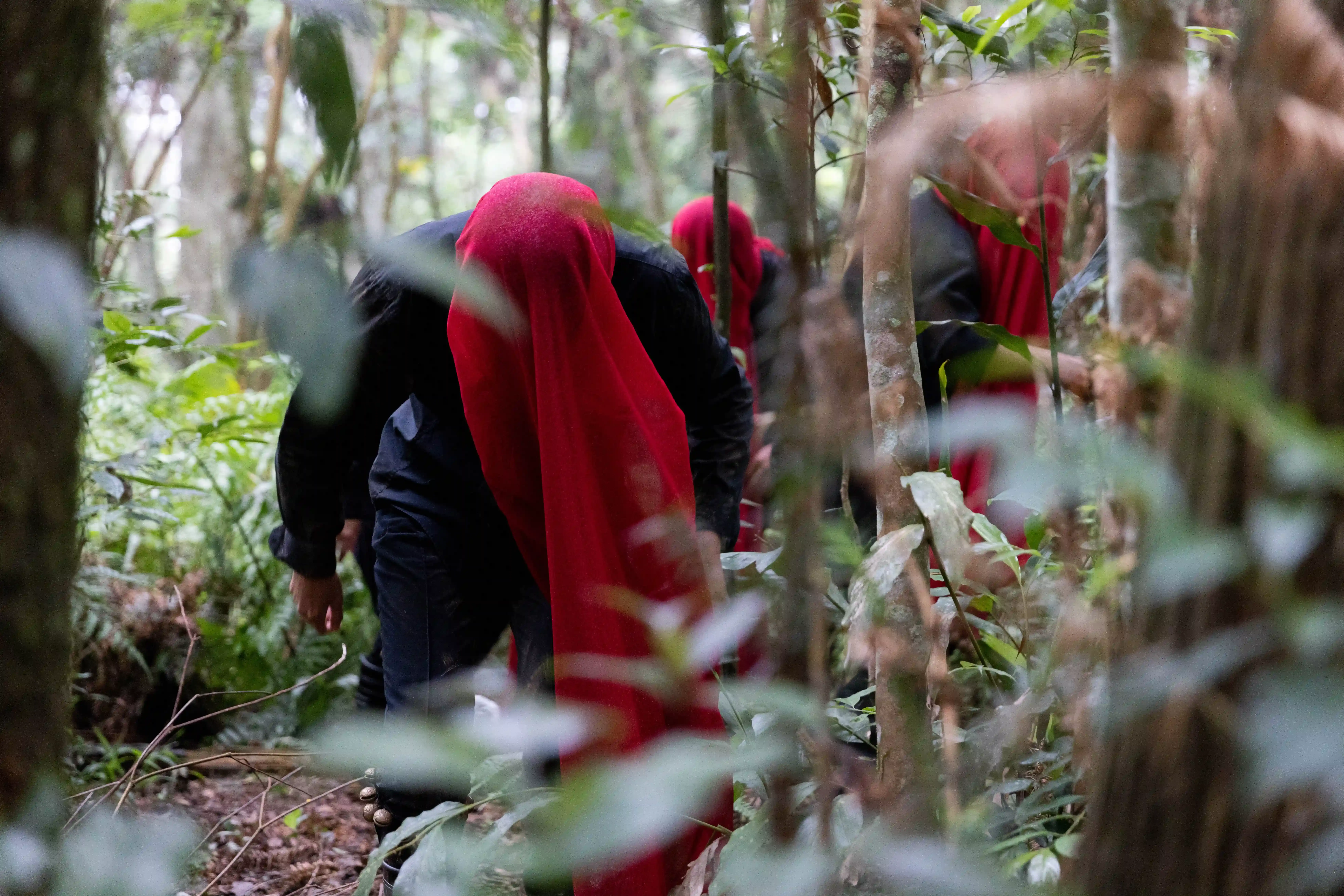 Tai身體劇場《深林》,2023,地點:向天湖,攝影ken Wang