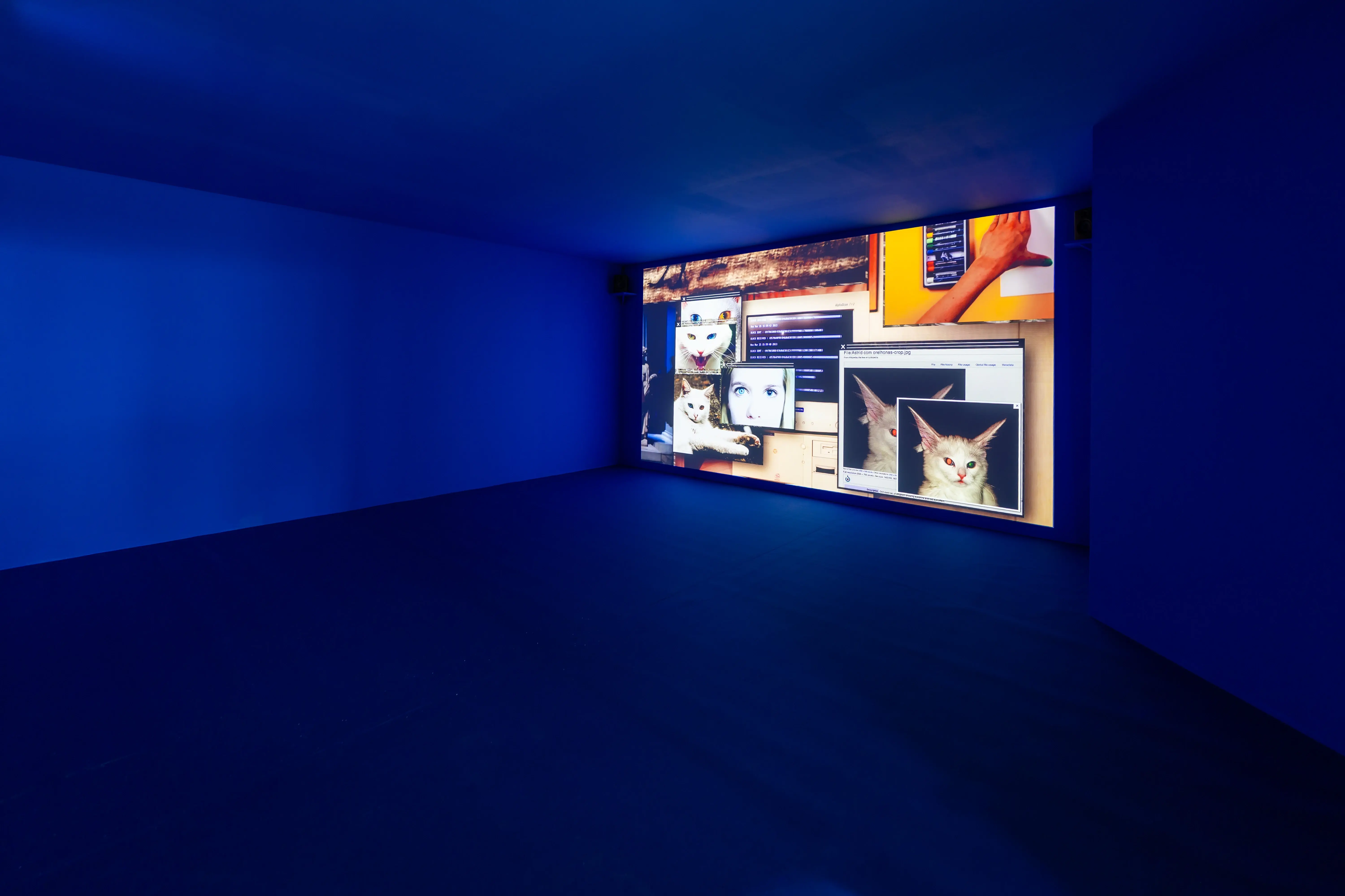 10 卡蜜兒安侯 極度疲憊 攝影 Kris Kang