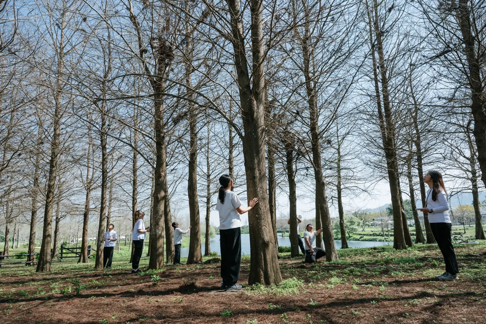 圖說4：邀請旅人穿梭於綠意中，開啟森林療癒與藍曬植物創作，運用陽光與植物將自然的光影節拍凝固於作品裡。
