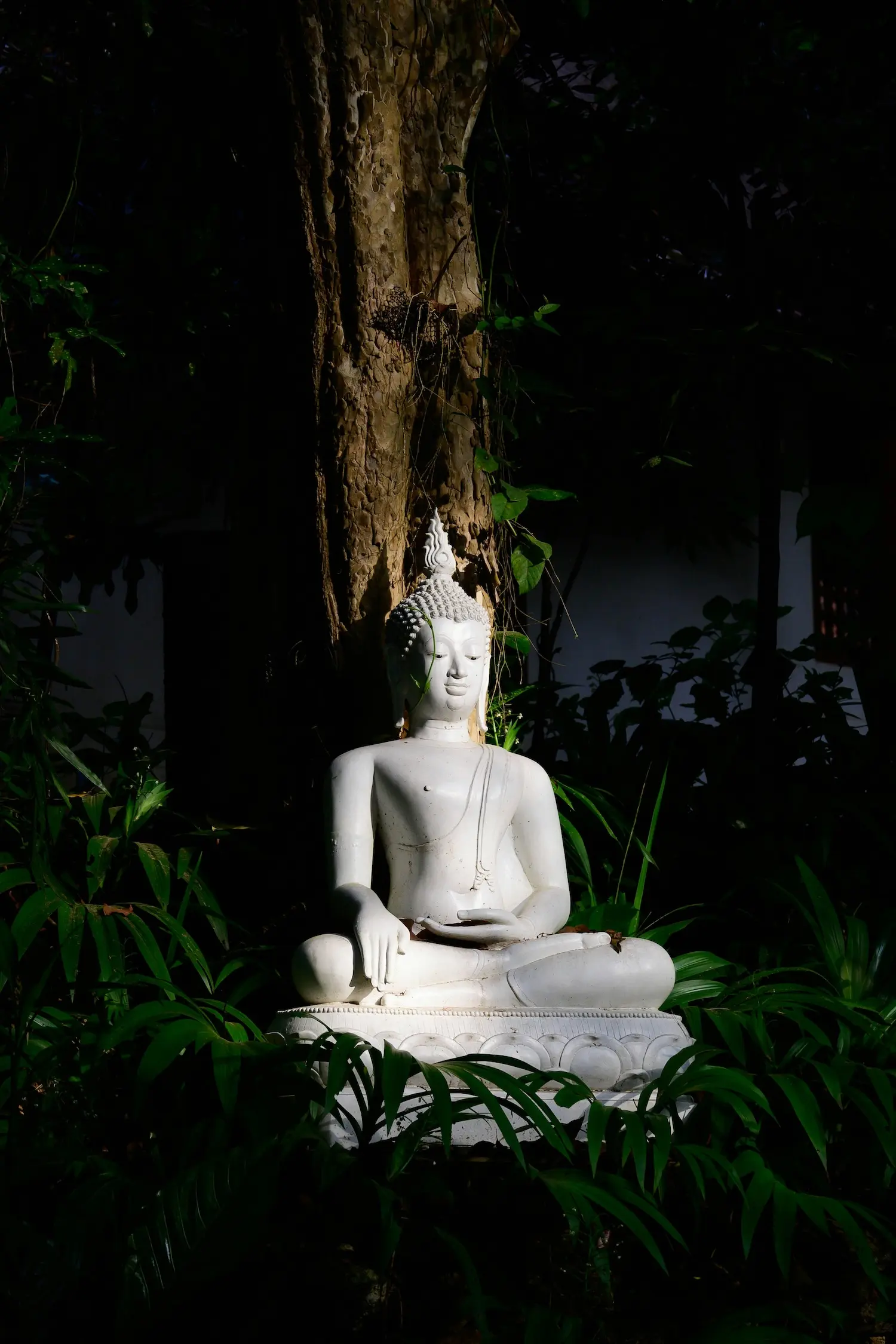 如何選擇適合你的修煉場域？