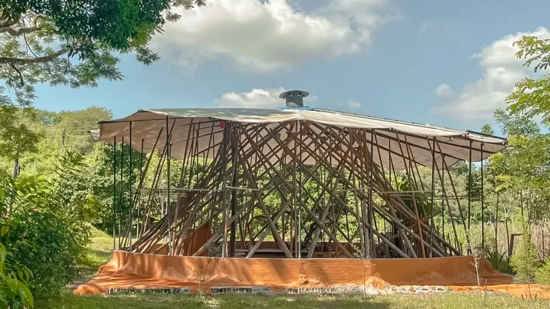 2. 巢巢窩療癒森林：大自然中的阿育吠陀與五感僻靜