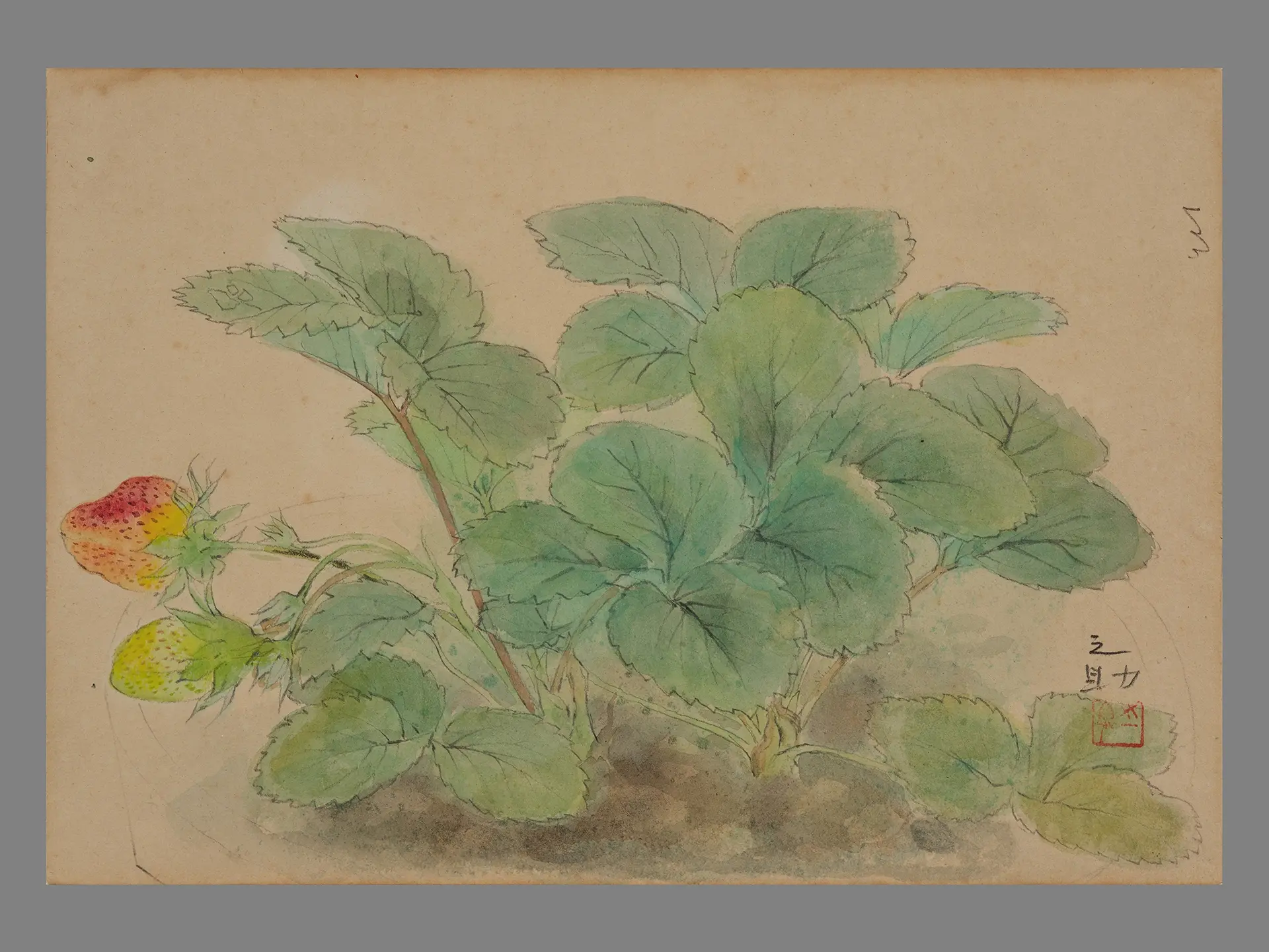 林之助〈草莓〉，年代不詳，水干顏料、 宣紙，17.5 × 24.6公分。圖片來源：臺中市立美術館。